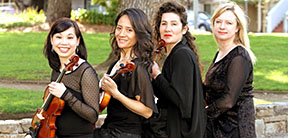 Classical String Musicians